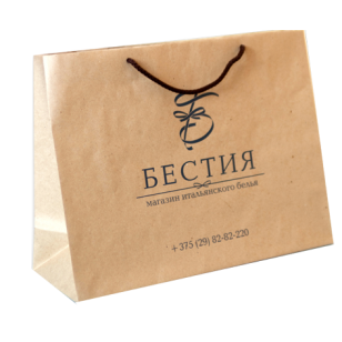 Пакет из бумаги Крафт, А5+, 16х22х8 см, печать 1+0